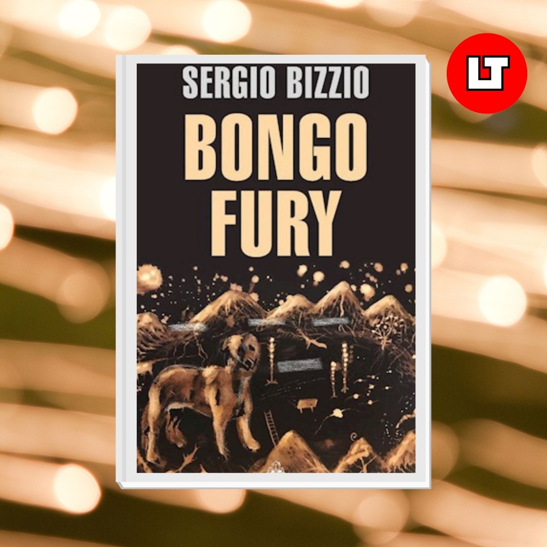 bongo-fury